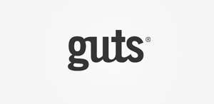 【技术支持】专业的在线网站攻击